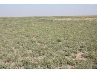 Tract 4 - 8,153 Acre Land Auction Offered in 20 Tracts