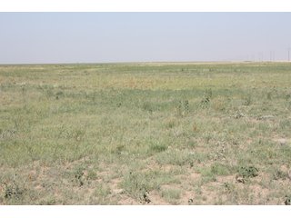 Tract 6 - 8,153 Acre Land Auction Offered in 20 Tracts