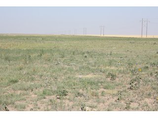 Tract 6 - 8,153 Acre Land Auction Offered in 20 Tracts