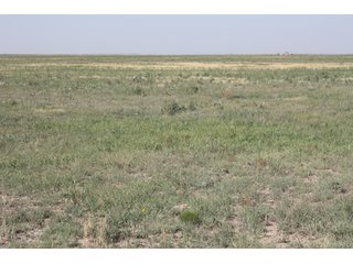 Tract 6 - 8,153 Acre Land Auction Offered in 20 Tracts