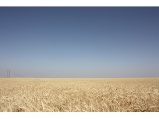 Tract 7 - 8,153 Acre Land Auction Offered in 20 Tracts