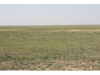 Tract 9 - 8,153 Acre Land Auction Offered in 20 Tracts