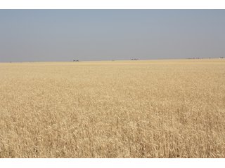 Tract 8 - 8,153 Acre Land Auction Offered in 20 Tracts