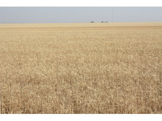 Tract 8 - 8,153 Acre Land Auction Offered in 20 Tracts