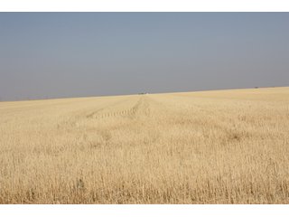 Tract 10 - 8,153 Acre Land Auction Offered in 20 Tracts
