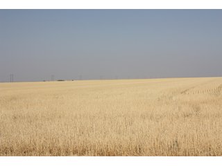 Tract 10 - 8,153 Acre Land Auction Offered in 20 Tracts