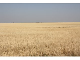 Tract 10 - 8,153 Acre Land Auction Offered in 20 Tracts