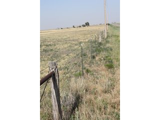 Tract 11 - 8,153 Acre Land Auction Offered in 20 Tracts