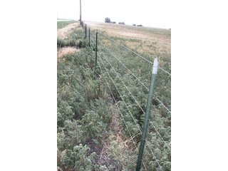 Property photo 41 - 8,153 Acre Land Auction Offered in 20 Tracts