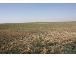 Tract 12 - 8,153 Acre Land Auction Offered in 20 Tracts