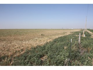 Tract 12 - 8,153 Acre Land Auction Offered in 20 Tracts