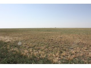 Tract 12 - 8,153 Acre Land Auction Offered in 20 Tracts