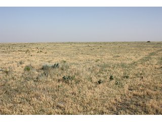 Tract 12 - 8,153 Acre Land Auction Offered in 20 Tracts