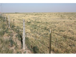 Tract 12 - 8,153 Acre Land Auction Offered in 20 Tracts