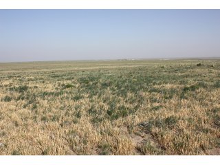 Tract 13 - 8,153 Acre Land Auction Offered in 20 Tracts
