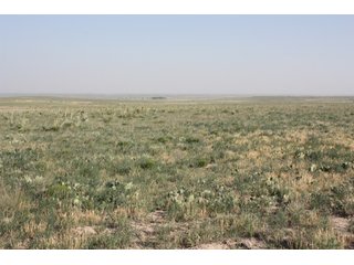 Tract 13 - 8,153 Acre Land Auction Offered in 20 Tracts