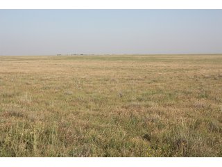 Tract 16 - 8,153 Acre Land Auction Offered in 20 Tracts