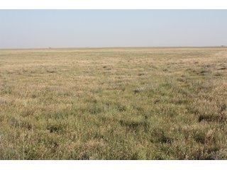 Tract 16 - 8,153 Acre Land Auction Offered in 20 Tracts
