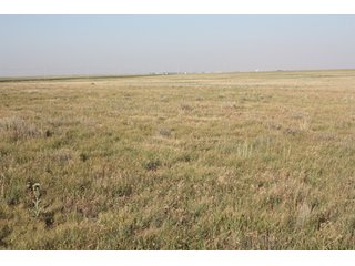 Tract 16 - 8,153 Acre Land Auction Offered in 20 Tracts