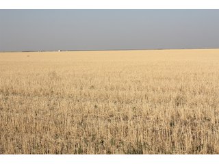 Tract 14 - 8,153 Acre Land Auction Offered in 20 Tracts