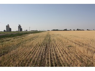 Tract 14 - 8,153 Acre Land Auction Offered in 20 Tracts