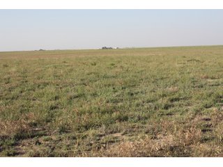 Tract 15 - 8,153 Acre Land Auction Offered in 20 Tracts