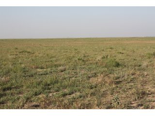 Tract 15 - 8,153 Acre Land Auction Offered in 20 Tracts