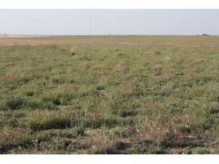 Tract 15 - 8,153 Acre Land Auction Offered in 20 Tracts