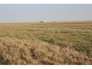 Tract 17 - 8,153 Acre Land Auction Offered in 20 Tracts