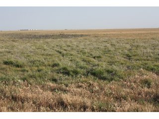 Tract 17 - 8,153 Acre Land Auction Offered in 20 Tracts