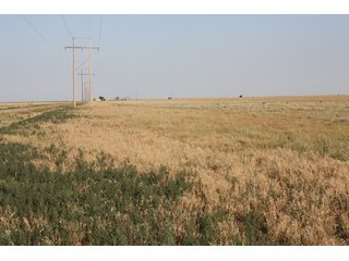 Tract 17 - 8,153 Acre Land Auction Offered in 20 Tracts