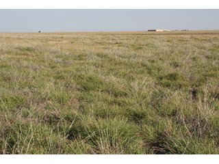 Tract 17 - 8,153 Acre Land Auction Offered in 20 Tracts