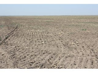 Tract 18 - 8,153 Acre Land Auction Offered in 20 Tracts