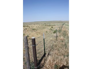 Property photo 92 - 8,153 Acre Land Auction Offered in 20 Tracts