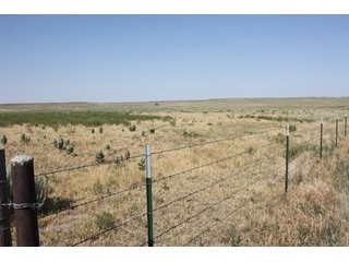 Tract 19 - 8,153 Acre Land Auction Offered in 20 Tracts