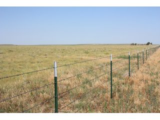 Tract 19 - 8,153 Acre Land Auction Offered in 20 Tracts