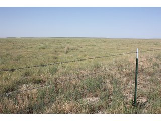 Tract 19 - 8,153 Acre Land Auction Offered in 20 Tracts