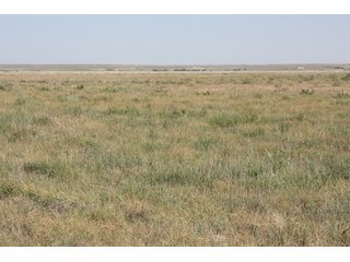 Tract 20 - 8,153 Acre Land Auction Offered in 20 Tracts