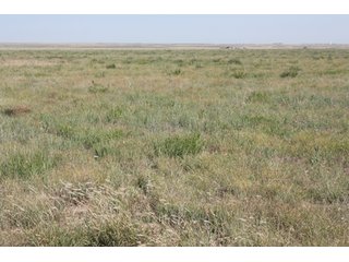 Tract 20 - 8,153 Acre Land Auction Offered in 20 Tracts