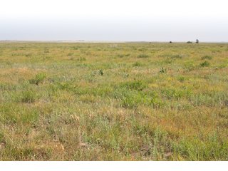 Tract 20 - 8,153 Acre Land Auction Offered in 20 Tracts