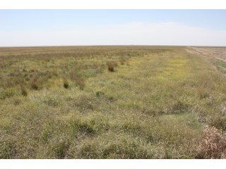 Property photo 7 - 480 Acre Land Auction Offered in 3 Tracts