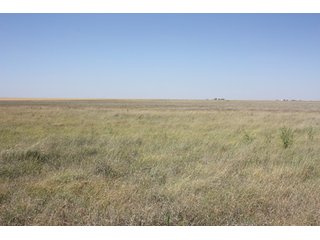 Property photo 3 - 480 Acre Land Auction Offered in 3 Tracts