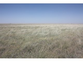 Property photo 4 - 480 Acre Land Auction Offered in 3 Tracts