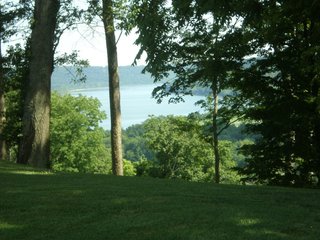 Property photo 4 - 151+/- Acres offered in 7 Tracts - Premier Land Auction