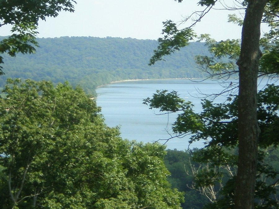 151+/- Acres offered in 7 Tracts - Premier Land Auction