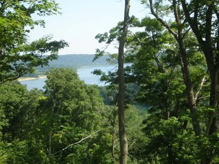 Property photo 3 - 151+/- Acres offered in 7 Tracts - Premier Land Auction
