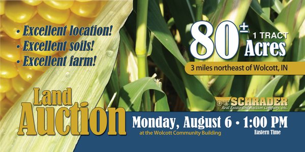 Sold: 80 Acre Land Auction - 3 Miles Northeast of Wolcott, IN