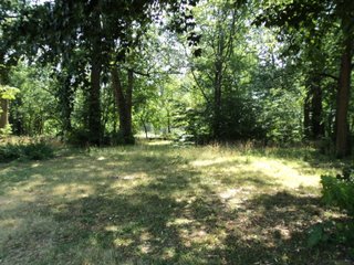 Property photo 3 - 2.27 Acre Wooded Lot - Real Estate Auction