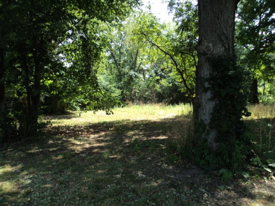 2.27 Acre Wooded Lot - Real Estate Auction