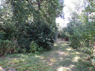 Property photo 2 - 2.27 Acre Wooded Lot - Real Estate Auction
